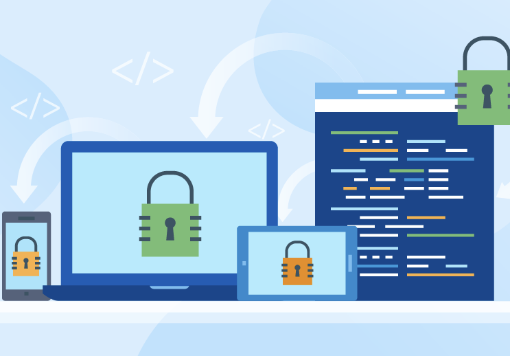 Software Security